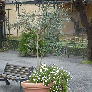 Bioparco di Roma 5.4.15