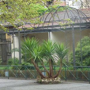 Bioparco di Roma 5.4.15