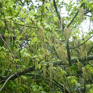 Bioparco di Roma 5.4.15