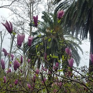 Bioparco di Roma 5.4.15
