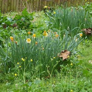 Bioparco di Roma 5.4.15