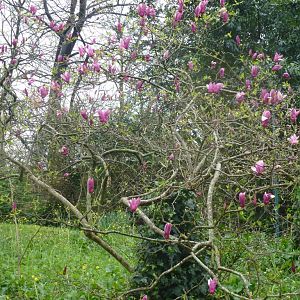 Bioparco di Roma 5.4.15