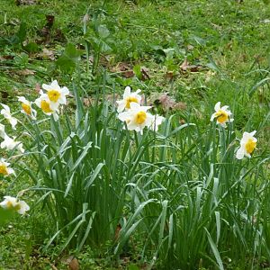 Bioparco di Roma 5.4.15