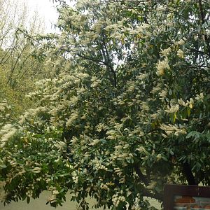 Bioparco di Roma 5.4.15