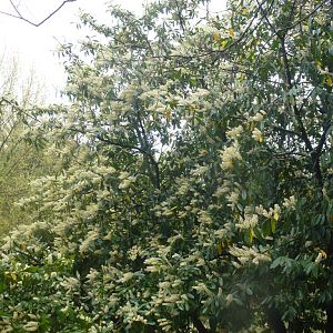 Bioparco di Roma 5.4.15