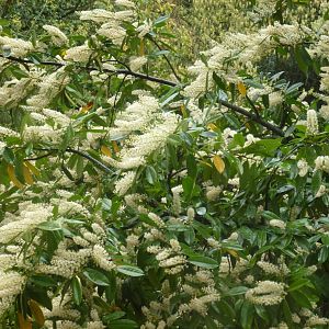 Bioparco di Roma 5.4.15