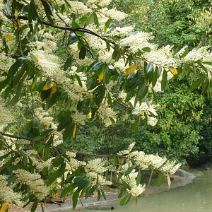 Bioparco di Roma 5.4.15