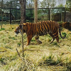 ZSL London Zoo April 2015