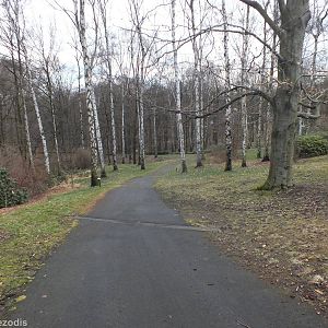 Path into the Zoo's Woodland Area