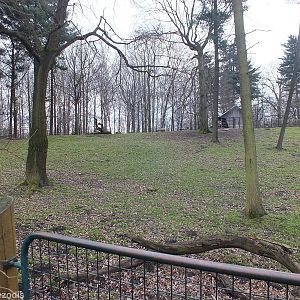 Enclosure for Altai Wapiti