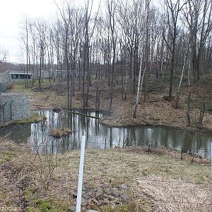 Chitwan - Enclosure for Terai Sacred Langurs and Asiatic Black Bear