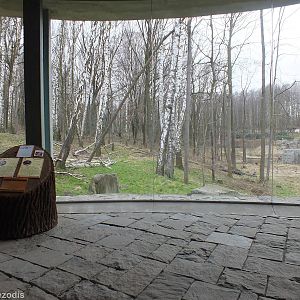 Chitwan - Inside of Viewing building for Langur and Bear Enclosure