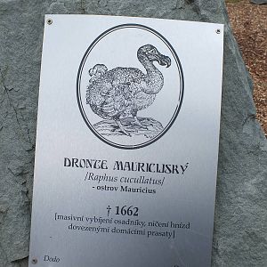 Plaque on one of the Stones of Extinct Species