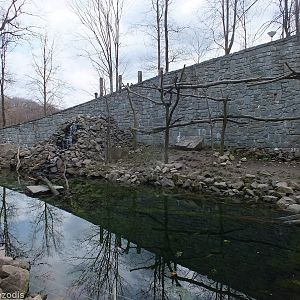 Mixed Enclosure for Asian Short-Clawed Otters and Binturongs