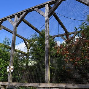 Left side of giant marmoset enclosure