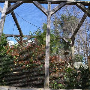 Right side of giant marmoset enclosure