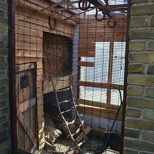 no sign for this one? rat possibly