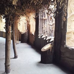 Inside of India / Big Cat House