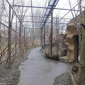 Walkthrough Aviary - Papua (Species List in Description)