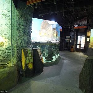 Papua Building (Species list for all tanks and terrariums in description)