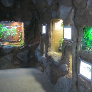 New exhibit "Beastie Burrow"