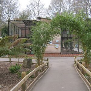 View towards large Hornbill aviaries.