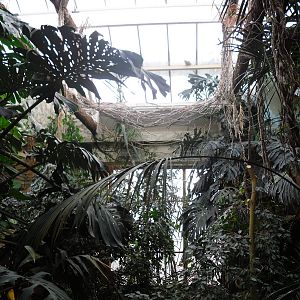 Inside of Wallace Aviary 14/1/09