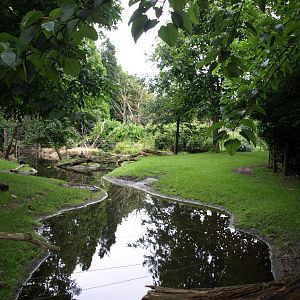 Rotterdam Zoo - Spotted deer exhibit
