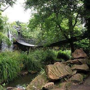 Rotterdam Zoo - Asian Marsh