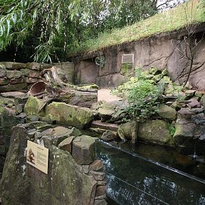 Rotterdam Zoo - Otter exhibit