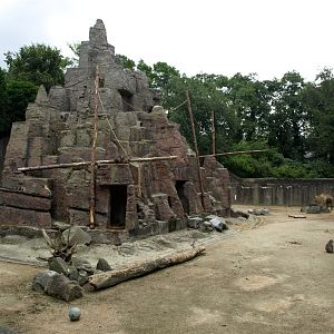 Rotterdam Zoo - Asian Mountain