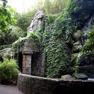 Rotterdam Zoo - Taman Indah