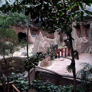 Rotterdam Zoo - Elephant indoor exhibit