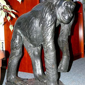 Zoo Wroclaw / Poland