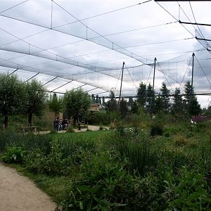 Rotterdam Zoo - Migatory Birds Aviary