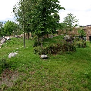 Rotterdam Zoo - Gorilla exhibit