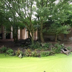 Rotterdam Zoo - Hyena exhibit