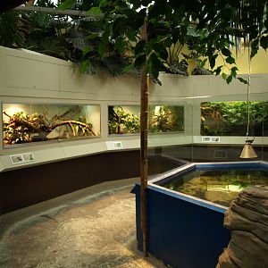 Rotterdam Zoo - Terraria