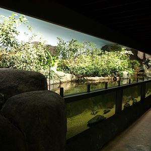 Rotterdam Zoo - River exhibit