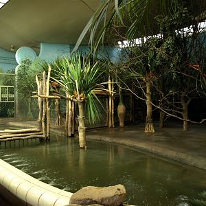 Rotterdam Zoo - Hippo indoor exhibit