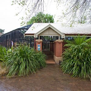 Toilet Block Aviary - Sep 2008