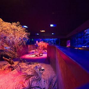 Nocturnal House - Sep 2008