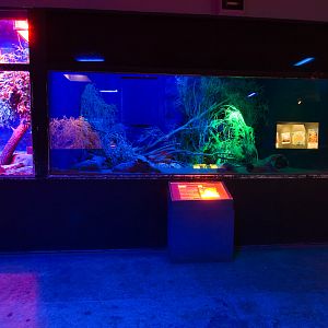 Nocturnal House - Sep 2008