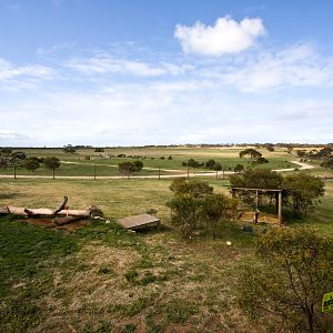 Cheetahs and surrounds - Sep 2008
