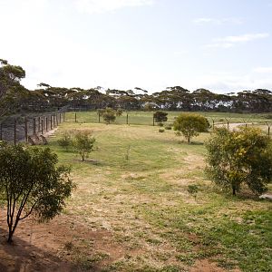 Cheetahs and viewing platform - Sep 2008