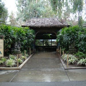 Dragons of Komodo at the Los Angeles Zoo
