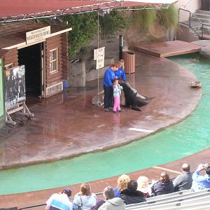 Wegeforth Bowl Show 1-26-09