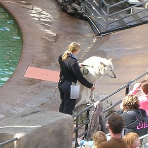 Wegeforth Bowl Show 1-26-09