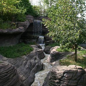 Otter Exhibit