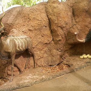african animals statues
